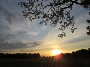 IMG_1878