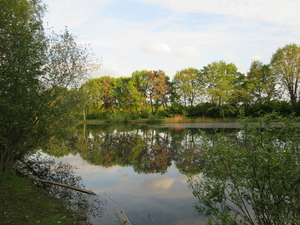 IMG_1870