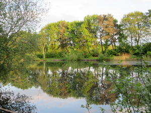 IMG_1869