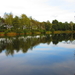 Diversen 201114 118
