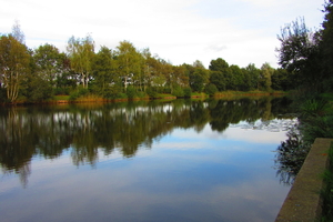 Diversen 201114 118