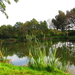 Diversen 201114 115