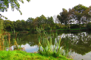 Diversen 201114 115