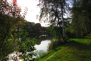 Diversen 201114 114