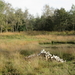 Diversen 201114 099
