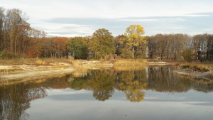 20181106_154417