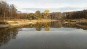 20181106_154228
