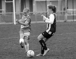 dsc_5695_44079385950_o