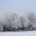 2009.01.11-01 Park Kruibeke