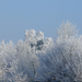 2009.01.12-10 park Kruibeke