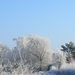 2009.01.12-30 park Kruibeke