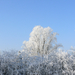 2009.01.12-32 park Kruibeke