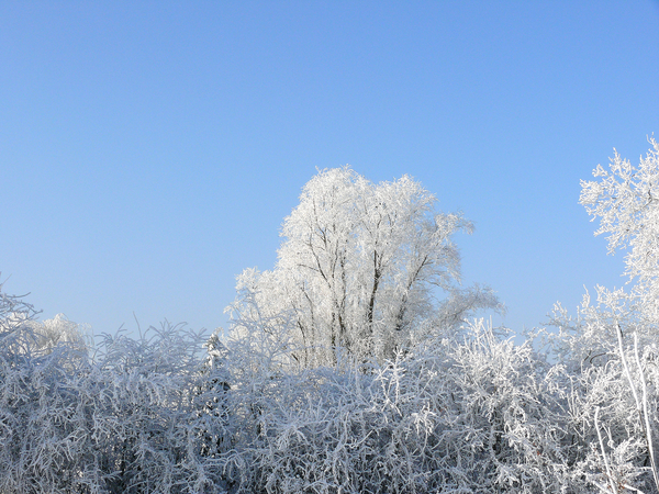 2009.01.12-32 park Kruibeke