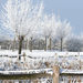2009.01.12-41b park Kruibeke