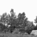 1982 oberwolz camping.
