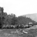 1982 oberwolz.camping