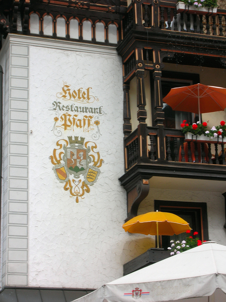 2010 zwarte woud 02