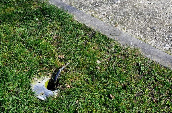Park Kruibeke 2012.03.19-04