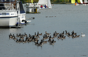 2009 nieuwpoort 5