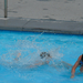 2009 nieuwpoort 13