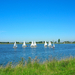 2012 nieuwpoort 10