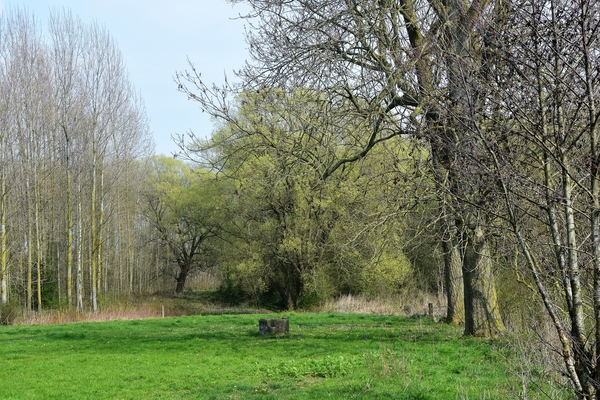 DSC_0173