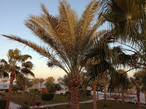 IMG_20190116_165831