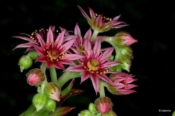 DSC_7391_20180702_084343