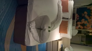 WP_20181220_10_39_26_Pro_LI