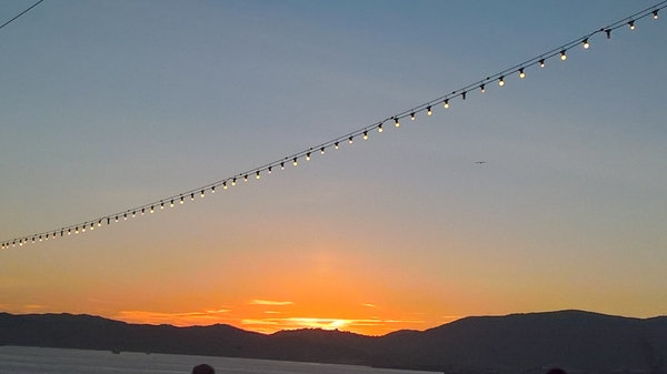 WP_20181220_18_08_39_Pro_LI