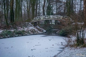 20190124_fvd