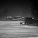 20190125_fvd