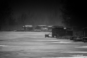 20190125_fvd