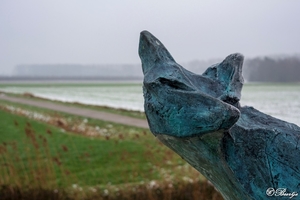20190126_fvd