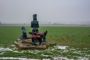 20190129_fvd