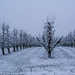 20190130_SGW_0006