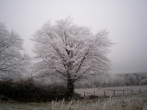 of asfalt , even hard