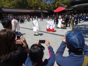 1A Tokio, Meiji Shrine _D0032