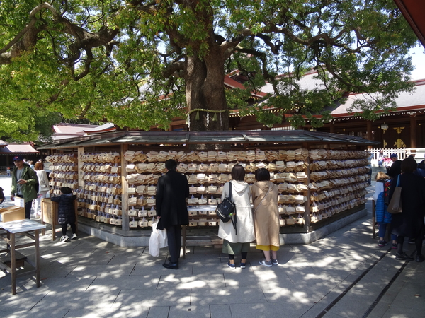 1A Tokio, Meiji Shrine _D0035