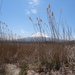 3D Mount Fuji, uitzichtpunt over meer _0427