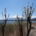 3D Mount Fuji, uitzichtpunt over meer _0438