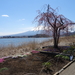 3D Mount Fuji, uitzichtpunt over meer _0442
