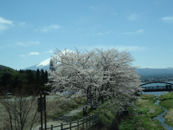 3D Mount Fuji, uitzichtpunt over meer _0457