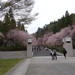 4D Shiga, Miho Museum _0548