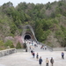 4D Shiga, Miho Museum _0581