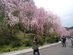 4D Shiga, Miho Museum _0595