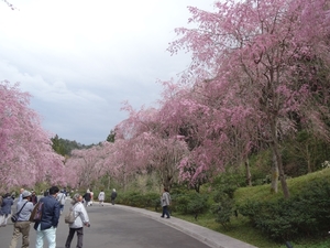 4D Shiga, Miho Museum _0597