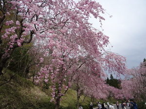 4D Shiga, Miho Museum _0599