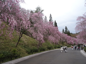 4D Shiga, Miho Museum _0600