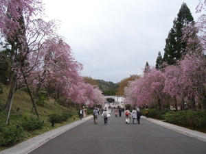 4D Shiga, Miho Museum _0601